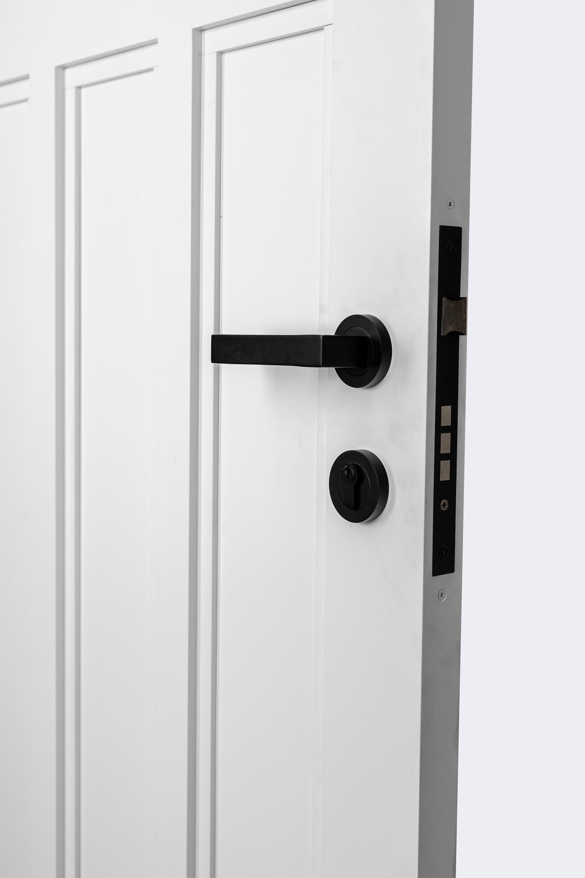 Ascot Standard Door