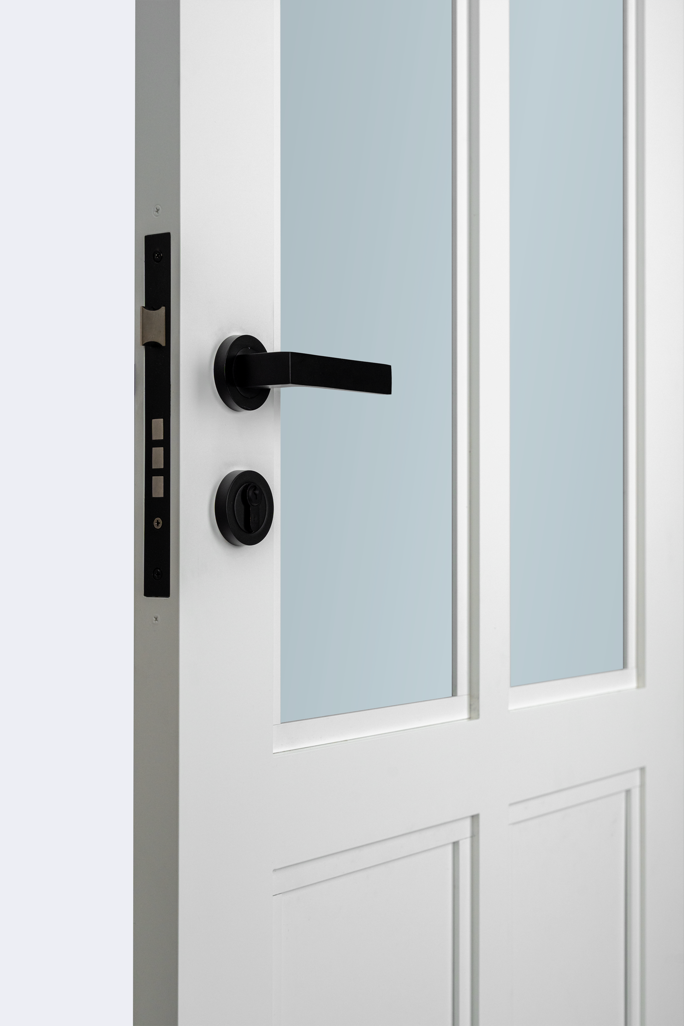Hamilton Standard Door