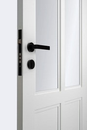 Hamilton Standard Door