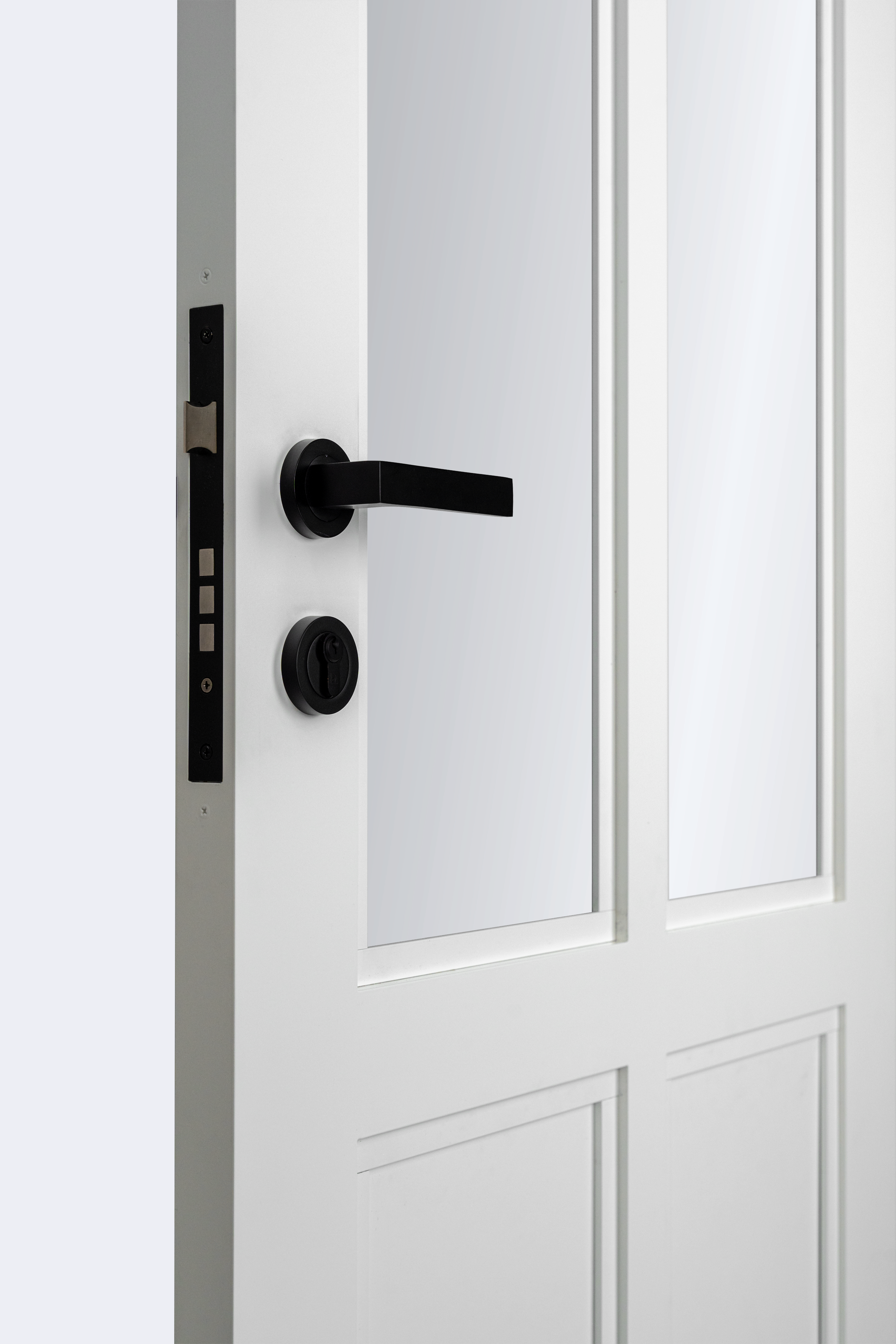 Hamilton Standard Door